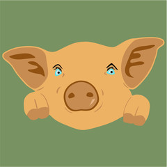 cute pig face vector silhouette