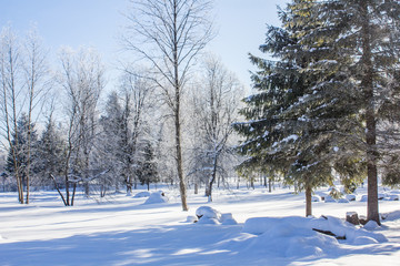 Winter landscape in clear weather. Morning bright sun. Snow plays shine. Frosty Snow Park