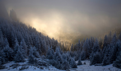 Trees covered with hoarfrost and snow in winter mountains - Holiday background