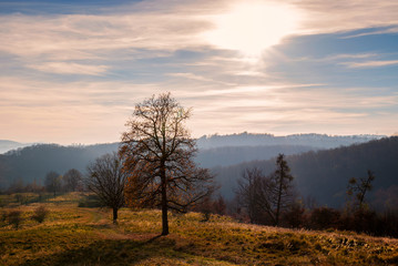 Obraz premium Autumn landscape scene