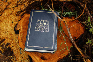 Israel: Tanakh or Hebrew Bible (Torah, Neviim, Ketuvim). Canonical collection of Jewish texts, Jewish book