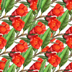 Seamless pattern with flowers of pomegranate