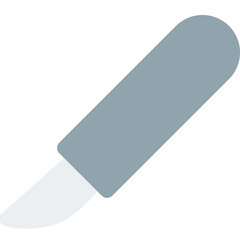 Scalpel a surgical tool
