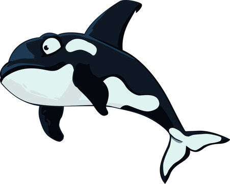 Orca Killerwal Cartoon Comic