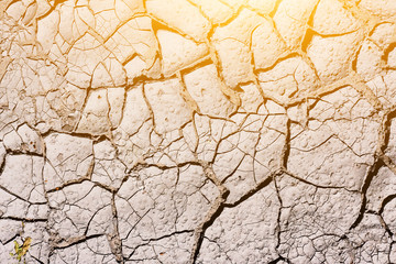 Texture, background of dry cracked earth ground. Global shortage of water on planet. Deep cracks in...