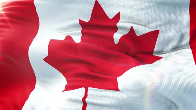 Flag of Canada waving on sun. Seamless loop with highly detailed fabric texture. Loop ready in 4k resolution.