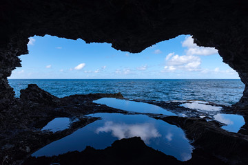 Animal Flower Cave at North Point, Barbados