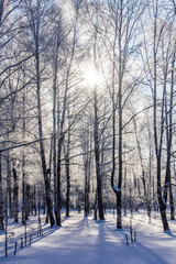 Winter landscape in clear weather. Morning bright sun. Snow plays shine. Frosty Snow Park