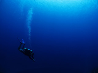 diver on the blue