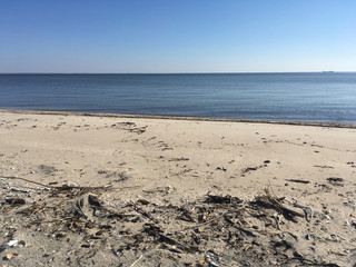 Fototapeta na wymiar Chesapeake Bay beach in the fall