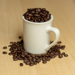 Coffee Cup