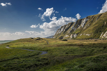 Fototapeta premium Dover Cliffs