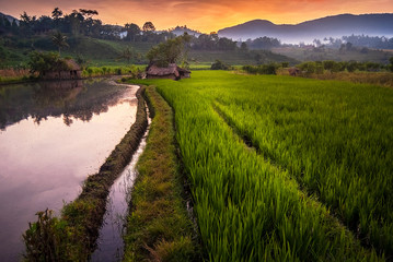 Dawn in the Rice Fields of Bali, Indonesia. The village of Sidemen can be said to have the most...