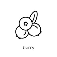 Blueberry icon from Agriculture, Farming and Gardening collectio