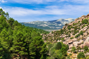 View of a valley half mountain with stones and half mountain with trees in the Natural Park of La Pedriza. Photograph taken in Manzanares El Real, Madrid, Spain.
