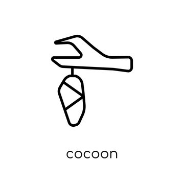Cocoon icon. Trendy modern flat linear vector Cocoon icon on white background from thin line animals collection