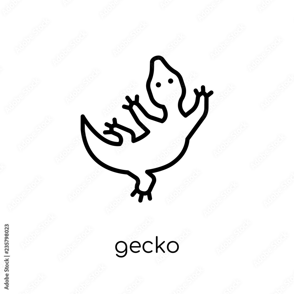 Poster gecko icon. trendy modern flat linear vector gecko icon on white background from thin line animals c