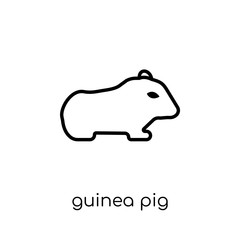 Guinea pig icon. Trendy modern flat linear vector Guinea pig icon on white background from thin line animals collection