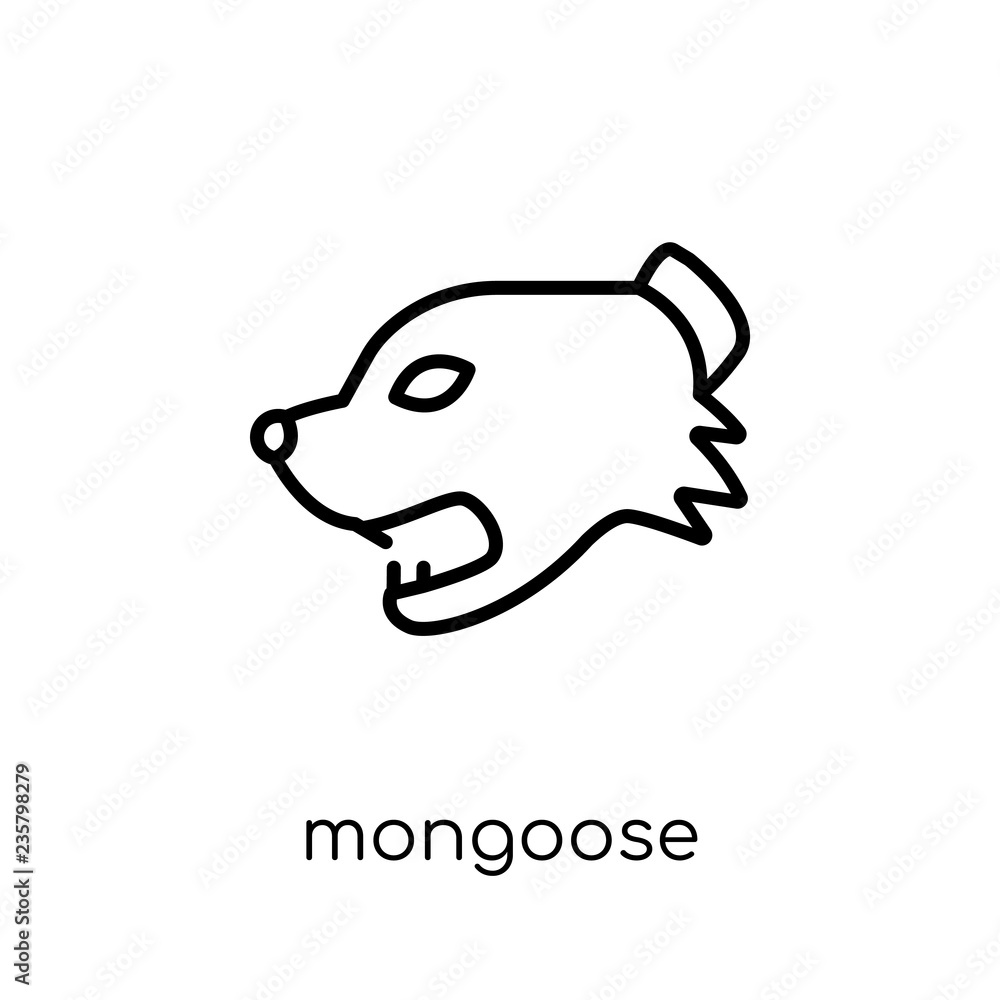 Poster mongoose icon. trendy modern flat linear vector mongoose icon on white background from thin line ani