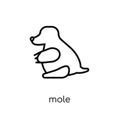 Mole icon. Trendy modern flat linear vector Mole icon on white background from thin line animals collection