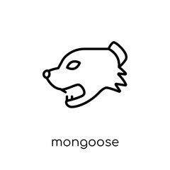 Mongoose icon. Trendy modern flat linear vector Mongoose icon on white background from thin line animals collection