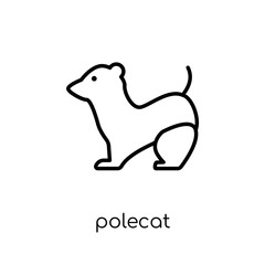 Polecat icon. Trendy modern flat linear vector Polecat icon on white background from thin line animals collection