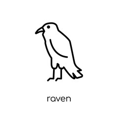 Raven icon. Trendy modern flat linear vector Raven icon on white background from thin line animals collection