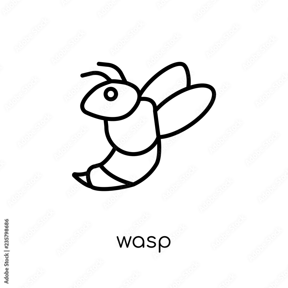 Poster wasp icon. trendy modern flat linear vector wasp icon on white background from thin line animals col