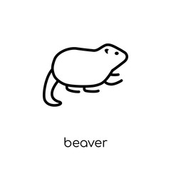 Beaver icon. Trendy modern flat linear vector Beaver icon on white background from thin line animals collection