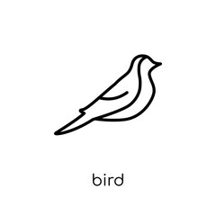 Bird icon. Trendy modern flat linear vector Bird icon on white background from thin line animals collection