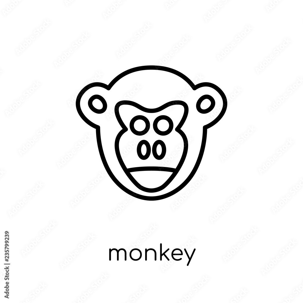 Poster monkey icon. trendy modern flat linear vector monkey icon on white background from thin line animals