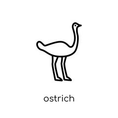 Ostrich icon. Trendy modern flat linear vector Ostrich icon on white background from thin line animals collection