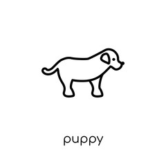 puppy icon. Trendy modern flat linear vector puppy icon on white background from thin line animals collection