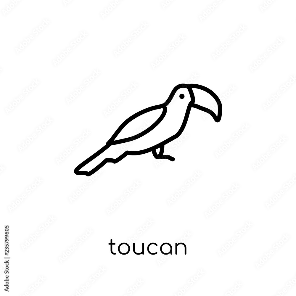 Poster toucan icon. trendy modern flat linear vector toucan icon on white background from thin line animals