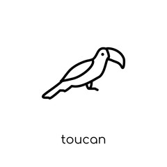Toucan icon. Trendy modern flat linear vector Toucan icon on white background from thin line animals collection