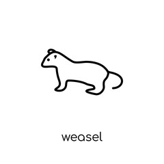 weasel icon. Trendy modern flat linear vector weasel icon on white background from thin line animals collection