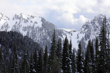 Mount Ranier National Park, WA, USA. 