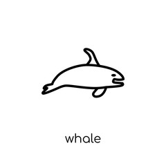 Whale icon. Trendy modern flat linear vector Whale icon on white background from thin line animals collection