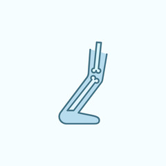 Leg anatomy field outline icon. Element of medicine physiotherapy of legs icon. Thin line icon for website design and development, app development. Premium icon