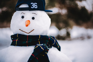 Portrait of a snowman at winter park