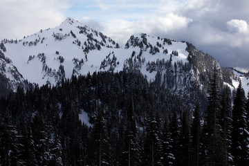 Mount Ranier National Park, WA, USA. 
