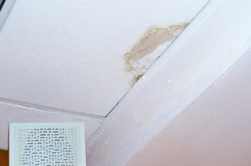 plasterboard ceiling mold damage