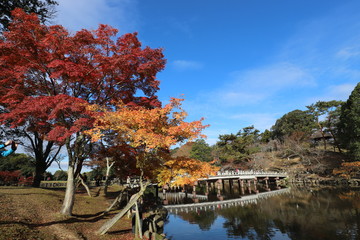 奈良公園　浮見堂