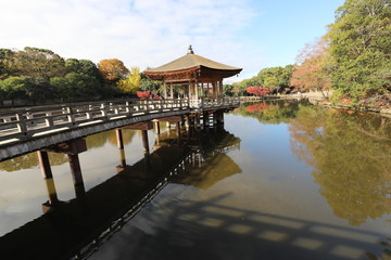 Fototapeta premium 奈良公園 浮見堂