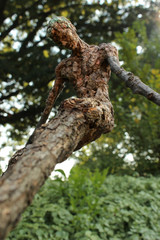 Contemplative Tree Man in the forest with natural background