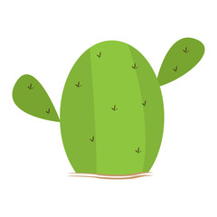 Isolated green cactus image. Vector illustration design