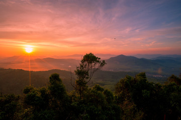 Natural wallpapers (mountains, morning light, fog, trees) scattered around, Lanscape background of fresh air and fresh air.