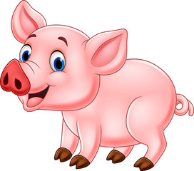 Cute pig cartoon