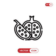 Pomegranate vector icon