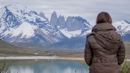 Wildlife and Nature at Parque Torres del Paine, Chile, Patagonia